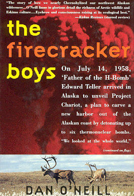The Firecracker Boys, by Dan O'Neill